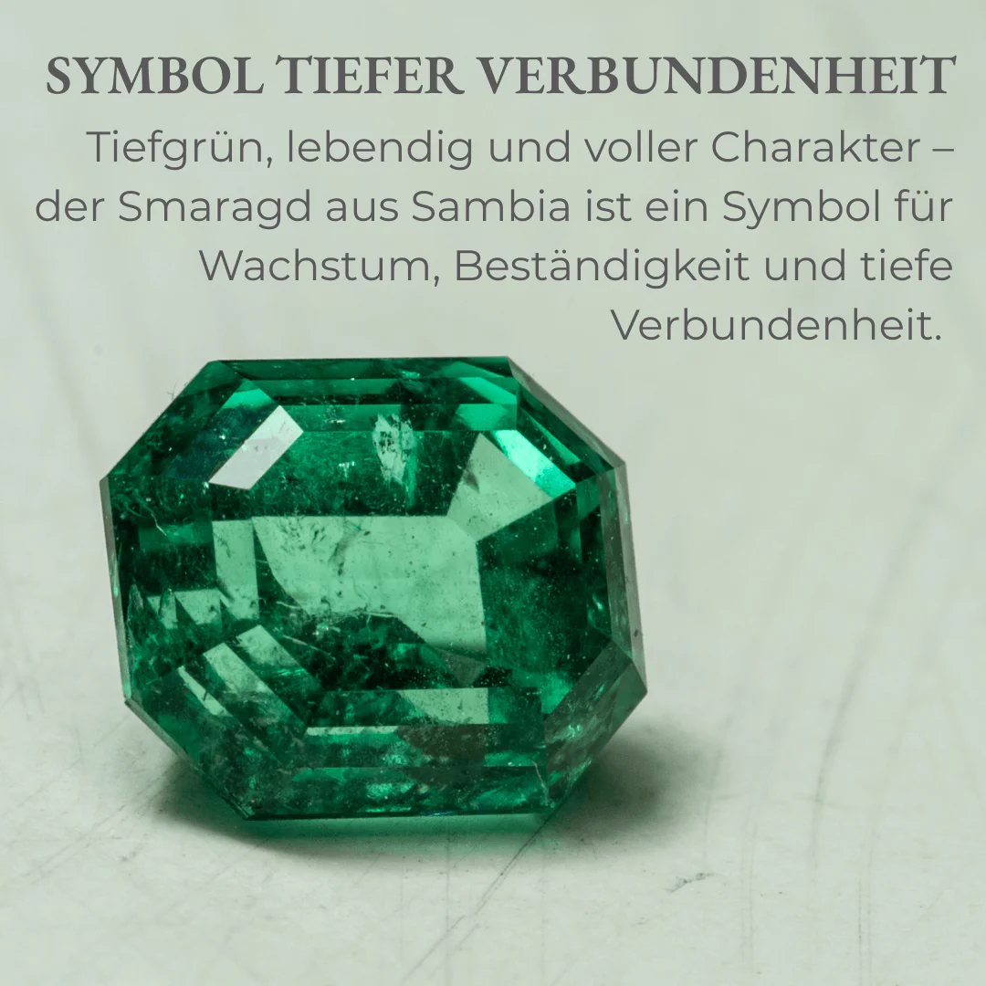 Vorschaubild 9